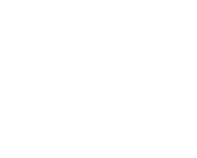 Schneider- und Plisseeatelier Tanja Raab Logo